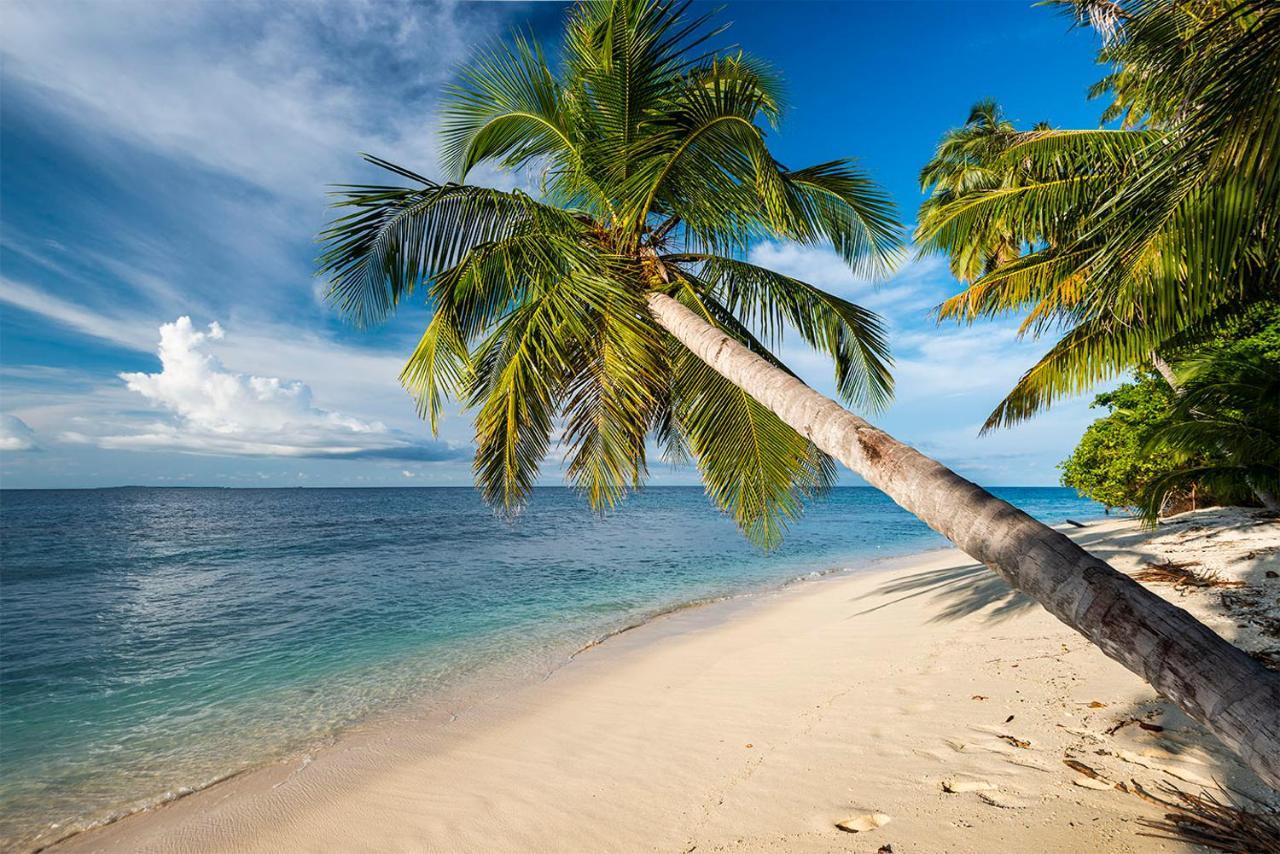 Pinang Island - Private Island Sea View Bungalows Singkil  Exteriör bild