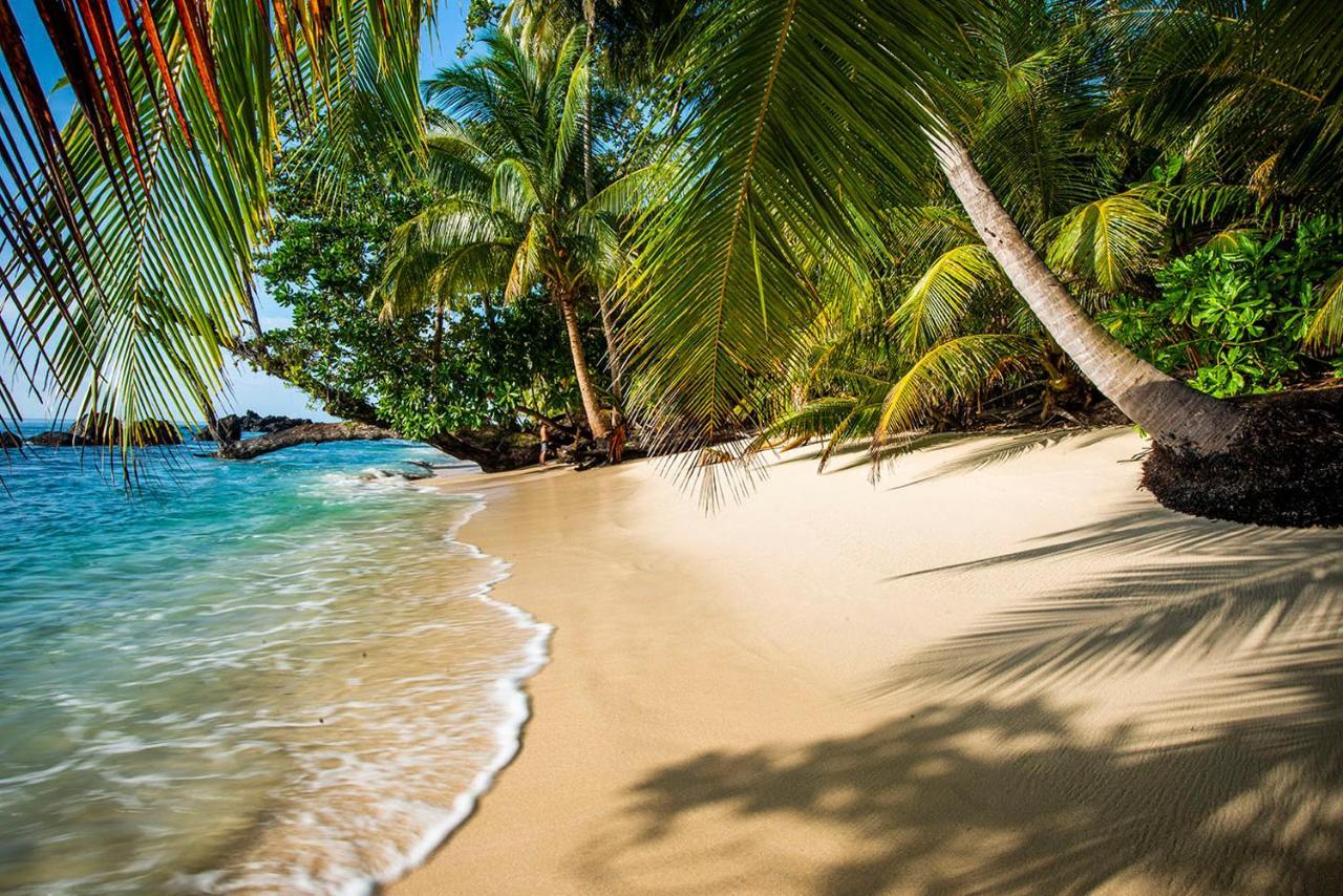 Pinang Island - Private Island Sea View Bungalows Singkil  Exteriör bild